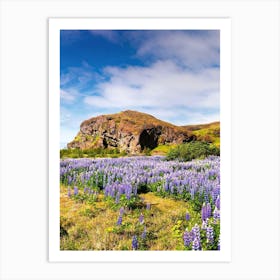 Lupine Field In Iceland 3 Art Print