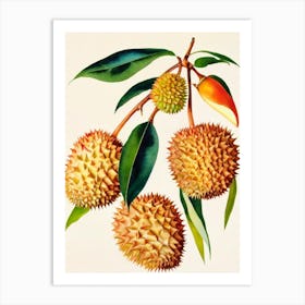 Durian Watercolour Fruit Painting Fruit Art Print