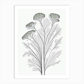Fennel Herb William Morris Inspired Line Drawing 1 Art Print