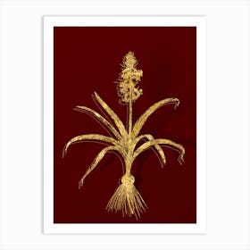 Vintage Scilla Patula Botanical in Gold on Red n.0124 Art Print