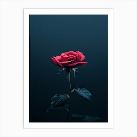 Dark Rose 49 Art Print