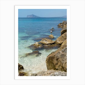 Clear sea water, rocks and seagulls on the beach Art Print