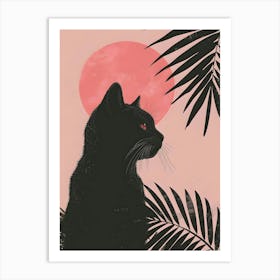 Cat In The Sun Art Print