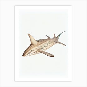 Angel Shark Vintage Art Print