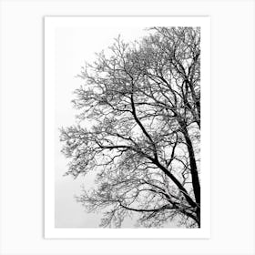 Black And White Abstract Winter Tree Art Print
