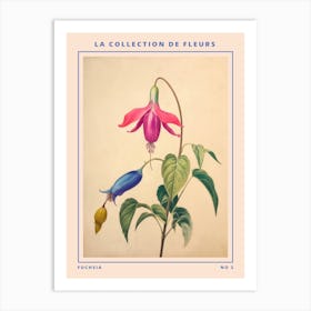 Fuchsia 2 French Flower Botanical Poster Art Print