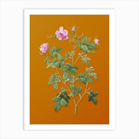 Vintage Pink Flowering Rosebush Botanical on Sunset Orange n.0095 Art Print