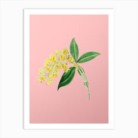 Vintage Dense Flowered Dendrobium Botanical on Soft Pink n.0788 Art Print