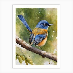 Mangrove Blue Flycatcher Art Print