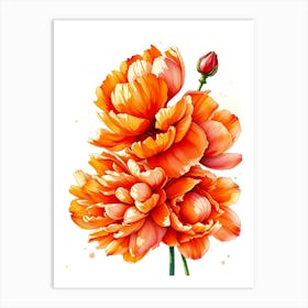 Orange Peony Flowers Art Print