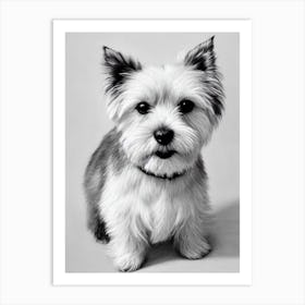 Norfolk Terrier B&W Pencil Dog Art Print