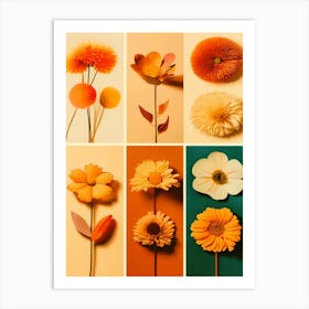 Fall Flowers, Fall Colors, Collage, Autumn Collection  Art Print