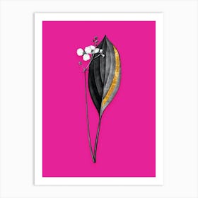 Vintage Bulltongue Arrowhead Black and White Gold Leaf Floral Art on Hot Pink n.1209 Art Print