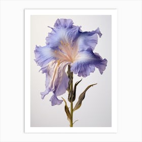 Pressed Wildflower Botanical Art Fringed Gentian 1 Art Print