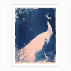 White Peacock Cyanotype Inspired 2 Art Print