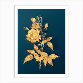 Vintage Common Rose of India Botanical in Gold on Teal Blue n.0226 Art Print