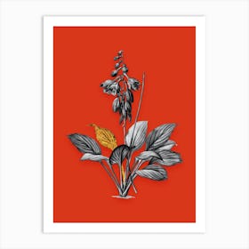 Vintage Daylily Black and White Gold Leaf Floral Art on Tomato Red Art Print