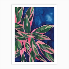 Calathea Triostar 1 Art Print