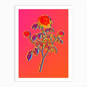 Neon Agatha Rose in Bloom Botanical in Hot Pink and Electric Blue n.0440 Art Print