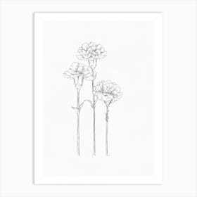 Carnations Sketch Art Print