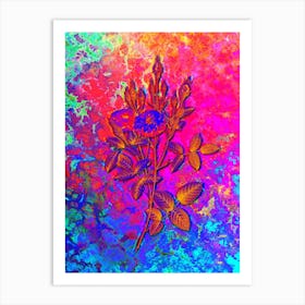 Mossy Pompon Rose Botanical in Acid Neon Pink Green and Blue n.0202 Art Print