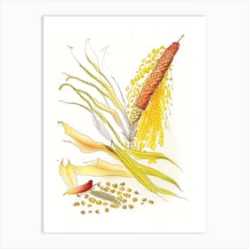 Corn Silk Spices And Herbs Pencil Illustration 4 Art Print