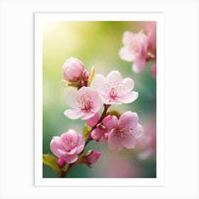 Cherry Blossoms 39 Art Print