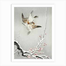 Sparrows And Snowy Plum Tree (1900 1936), Ohara Koson Art Print