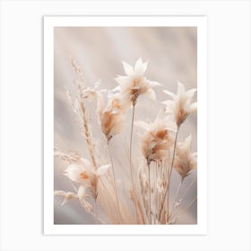 Boho Dried Flowers Kangaroo Paw 3 Art Print