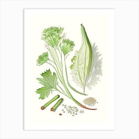 Celery Seed Spices And Herbs Pencil Illustration 3 Art Print