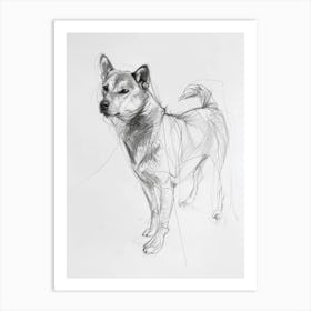 Shiba Inu Dog Charcoal Line 1 Art Print
