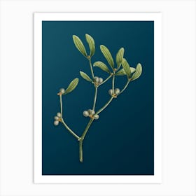 Vintage Viscum Album Branch Botanical Art on Teal Blue n.0451 Art Print