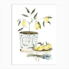 Lemon Tree 1 Art Print