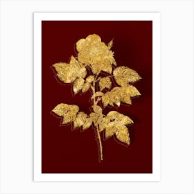 Vintage Leschenault's Rose Botanical in Gold on Red n.0540 Art Print