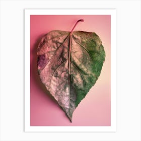 Heart Shaped Leaf Art Print