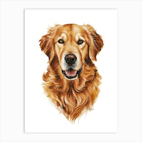 Golden Retriever 4 Art Print