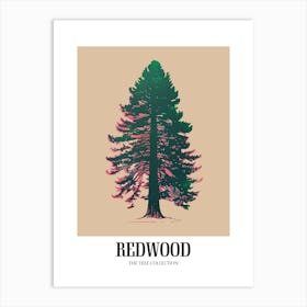 Redwood Tree Colourful Illustration 3 Poster Art Print