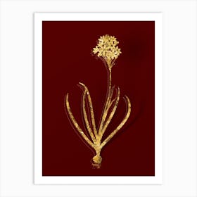 Vintage Arabian Starflower Botanical in Gold on Red n.0292 Art Print