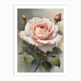 Englands Pink Rose Flower Art Print