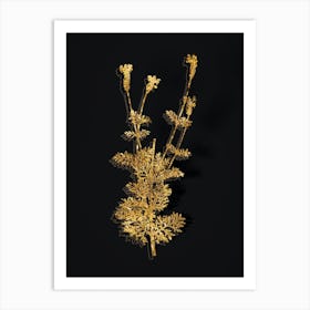 Vintage Spanish Lavender Botanical in Gold on Black n.0278 Art Print