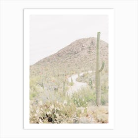 Cactus Scenery Art Print