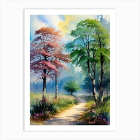 Path Through The Trees Art Print