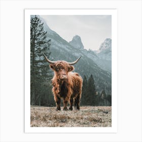 Colorado Forest Cow Art Print