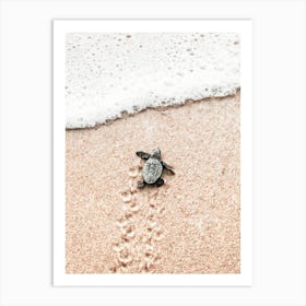 Baby Turtle On The Beach Art Print