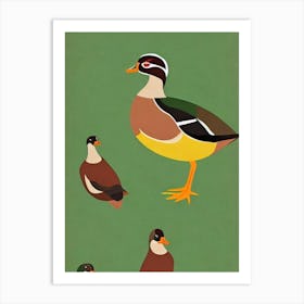 Wood Duck Midcentury Illustration Bird Art Print