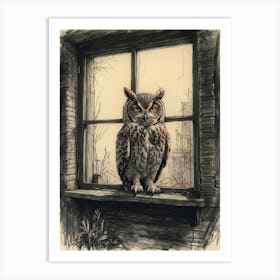 Owl In The Window Art Print