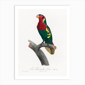 The Blue Headed Lorikeet (Trichoglossus Haematodus) From Natural History Of Parrots, Francois Levaillant Art Print