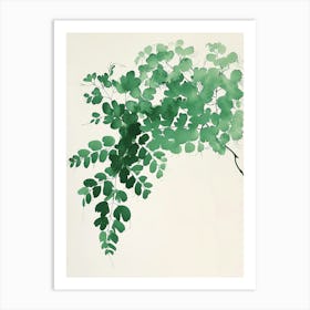 Green Ink Painting Of A Maidenhair Fern 3 Art Print