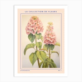 Hydrangea French Flower Botanical Poster Art Print