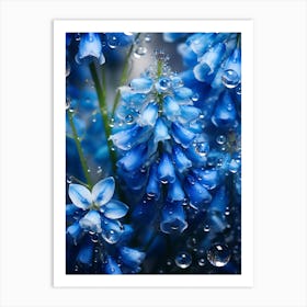 Blue Flowers With Water Droplets Art Print